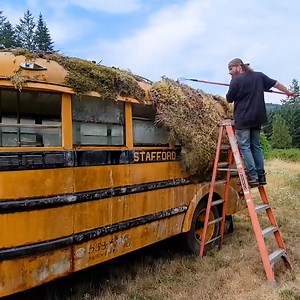 5.5M views · 76K reactions | Jason Kellogg, known as Country Boy Gas Garage on YouTube, found and restored a 1948 Ford F5 church bus. The abandoned bus sat in a forest, growing a blanket of moss, ferns, and greenery, and became a home for rats. Jason walks us through how he gave the bus its first cleaning in 25 years. To see more of the restoration, visit Jason's YouTube at https://www.youtube.com/c/countryboygasgarage | Insider Design | Facebook