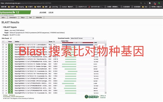 植物基因组网站phytozome之blast工具使用