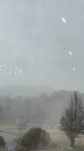 We never thought it would snow in early November but here we are…❄️❄️❄️ | Heather Thomas