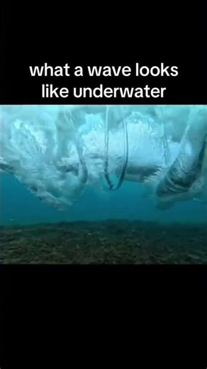 What a wave looks like crashing