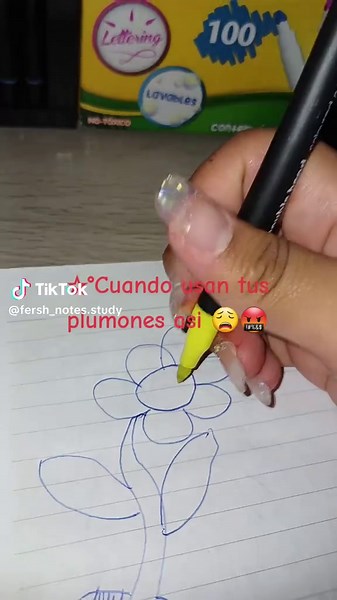 Les ha pasado? #DIY #crzgf #creative #escritorio #fyp #plumones #satisfaction