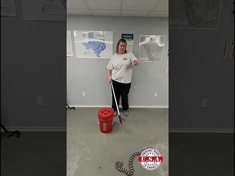 How to safely use our snake tongs to handle a snake.