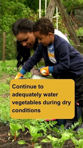 September Gardening Tips