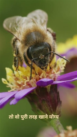 दुनिया का एकमात्र खाना जो NEVER Expires — आपकी रसोई में छुपा है रहस्य!