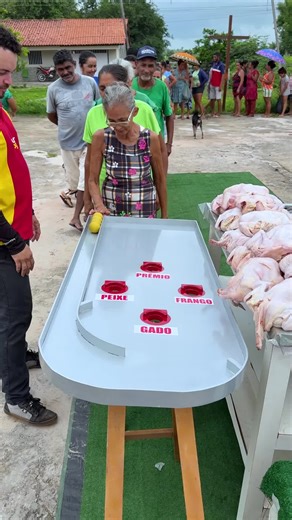 Prêmios de Gado, Frango e Peixe em Jogo Animado