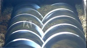 Production of rapeseed oil, processing of oilseed rapeseed, supply of rapeseed oil seeds to the cold pressing press, colza, close-up, milling