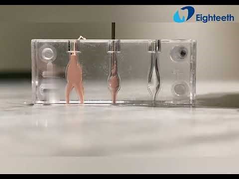 Eighteeth Obturation System Fast Fill Test - 3D warm vertical compaction