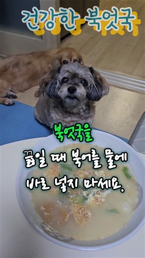 북어국 끓일때 이렇게 해보세요 #건강정보
