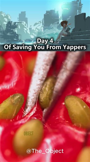 Day 4 of saving you from yappers. 🤫 #shorts #satisfying