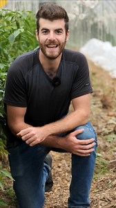 108K views · 1.8K reactions | 7 tipi di PACCIAMATURA, qual è la migliore?  #orto #pacciamatura #coltivare #suolo | Amico Delle Piante | Facebook