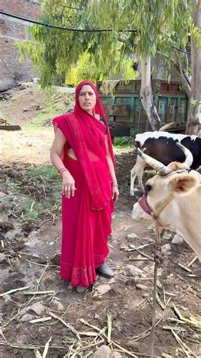 Nobody likes to do any work but everyone wants milk😂😉 #comedyshorts #comedy #shortvideos @Sanju_d...