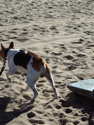 Gabrielle Reece on Reels