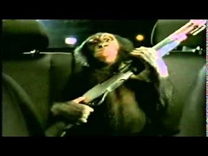 Trunk Monkey Date Night Chaperone Edition Commercial Very Funny TV Ads from Suburban Auto