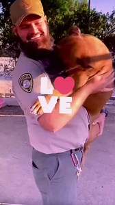 RESCUED by NW Boxer Rescue. ON THE KILL LIST! He is RESCUE ONLY because he is barking at his kennel door...he has been at the shelter since May 5th so he wants out! 72 hour notice was given on 9/17/21 🙏🏻🙏🏻🙏🏻 EXTREMELY URGENT!!! Animal ID A5416732 MICKEY My name is MICKEY and I'm approximately 1 years and 4 months old male boxer. I have been at the Baldwin Animal Care Center since May 5, 2021. ID A5416732 Breed BOXER Sex Male Age 1 years and 4 months Weight: 49.20 lbs Baldwin Park Animal Sh