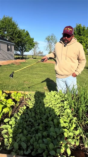 Gardening Tips: Cultivating Nature in Your Garden