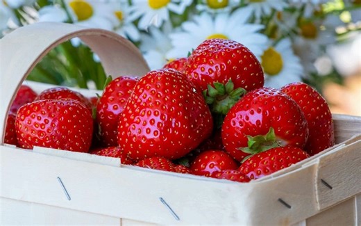 Node Editor in Python pygame - Nodezator App - Indie Python