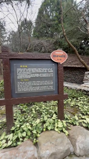 Roaming around the different tribes of Taiwan during the Japanese colonial period in FOCUS🇹🇼😍🙏🏻 #fypシ゚viralシfypシ゚2026 #fascinatingtaiwantour #musicnotminenocopyrightinfrigementintended #thankfulgratefulandblessed #followers #friends #thankyouforwatchingmyreels🇹🇼😍🙏🏻 | Norman P. Gutierrez