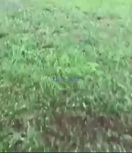 Scaring Rabbit Away with Dancing Skills