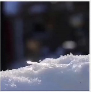 15K views · 521 reactions | When exposed to freezing temperatures,...