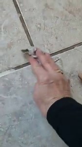 9.5K views · 26 reactions | How to fix spider cracks in ceramic tile floors using Plaster Paint One Step! | The Plaster Paint Company | Facebook