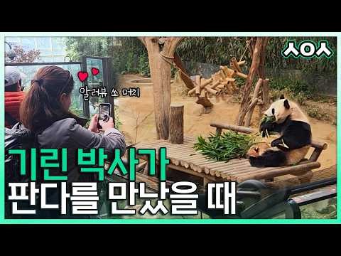 American Veterinarian Completely Falls for Ai Bao?👩‍⚕️ Everything About Giraffe Care