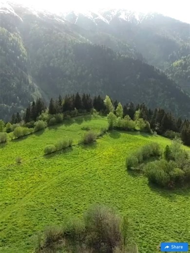 🎃 Halloween Dracula’s Dark Cherry Fudge 🍒🍫 💪 Protein | 6g Sink your teeth into this devilishly rich, velvety dark chocolate fudge swirled with bloody-red cherries—perfect for a spooky Halloween treat that looks scary but tastes sinfully sweet! 📝 Ingredients: ✦ 2 cups dark chocolate chips (70% cacao) ✦ 1 cup sweetened condensed milk ✦ 1 tbsp unsweetened cocoa powder ✦ 1 cup maraschino cherries (halved) ✦ 1 tsp vanilla extract ✦ Pinch of salt 👩‍🍳 Instructions: 1️⃣ - Line an 8x8 pan with par
