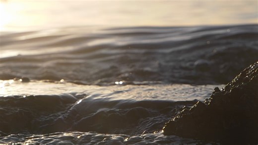Waves, Sea, Splashing. Free Stock Video