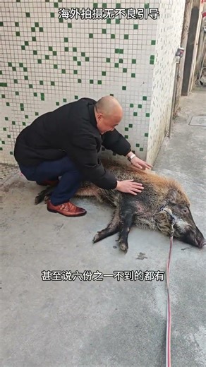 Melon Surprise in the Wild! Pork Noodles with Pig Farmers