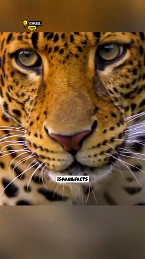 Forests of Fear: The 7 Deadliest Woods NEVER Explore! 💀🌳#shorts