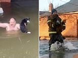 Rescuers race to save pets amid Russian dam calamity in Orsk