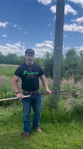 199K views · 2.4K reactions | Catch The Fever on Reels | Facebook