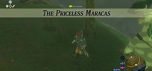 The Priceless Maracas - Zelda Dungeon