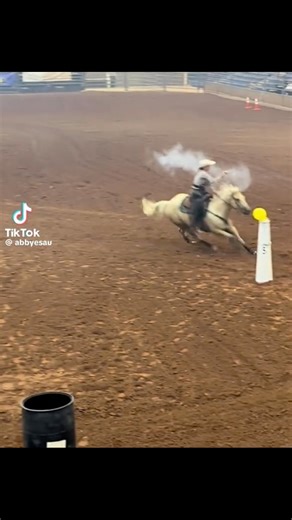 Where can I get this training?🔥🤣👮‍♂️💥🐎💥😳 | Forever Loyalty Training LLC