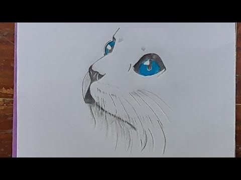How to draw a Simple Cat Face - step by step || Pencil sketch tutorial || Easy drawing