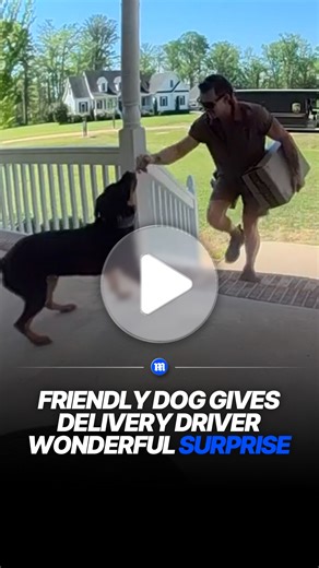 Friendly dog eagerly greets UPS driver on delivery route