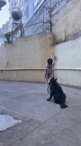 18K views · 234 reactions | Level 2 Obedience | Maximus | Training Update | Dog Trainer Cebu | Facebook