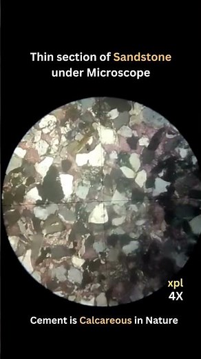Calcareous Sandstone under microscope, Thin section of sedimentary rock #geology #earthdetective