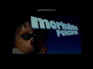 Opening To The Princess Diaries 2001 VHS (2005 Reprint)