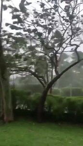 LOOK: Weather situation in Sorsogon City early morning today, November 1, due to Super Typhoon #RollyPH. (Video Courtesy of Chiz Escudero) | Panahon.TV