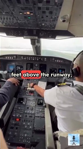 How Do Pilots Land Huge Jets So Smoothly? #shorts