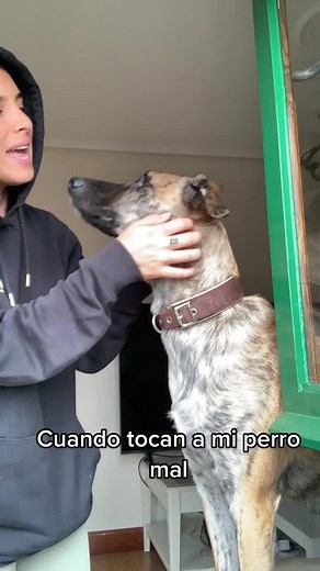 Caring for Your Sick Dog: Tips and Insights