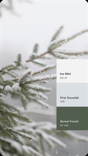 Whether you’ve already had your First Snowfall 1618 or prefer to experience the cold weather in photographic form only, bring the outdoors in and celebrate the season with a mini palette inspired by the season in all its glory. ❄️ ☃️ | Benjamin Moore
