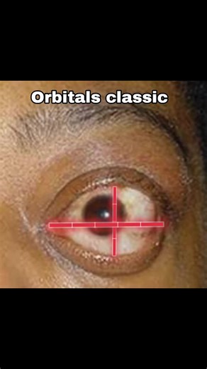 PSL Ratings: Enhance Your Experience with the PSL App