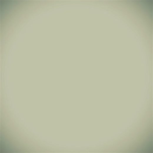 NEYTIRI and LOAK: Exploring the Underrated Similarities