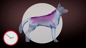 1.4K views · 20 reactions | [VECTRA 3D AMPULE] Znaš li kako pravilno...