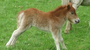 9.9K views · 233 reactions | Ouverture 2024 – 4 jours : d’autres...