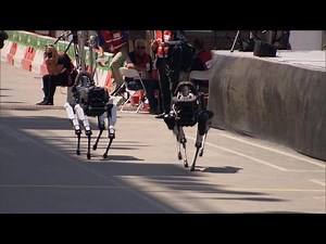 The future of robots and artificial intelligence