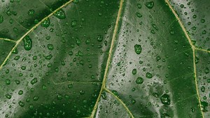 Humidity's Impact on Medical Devices, Part One - Perma Pure