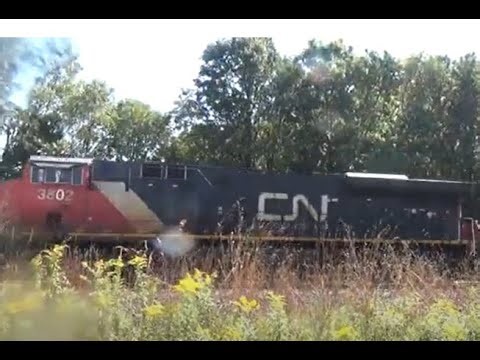 CN 3002,CN 3920 & CN 2265 Leading A Northbound Manifest Train Battle Creek Michigan 9/16/25