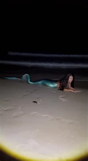 #OceanClips #DeepOcean #DangerousSea #MarineLife